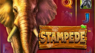 stampede betsoft